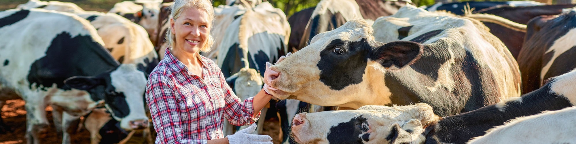 Livestock Care Products