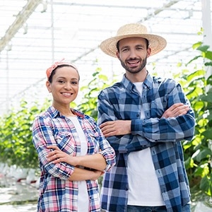 Cultivadores comerciales