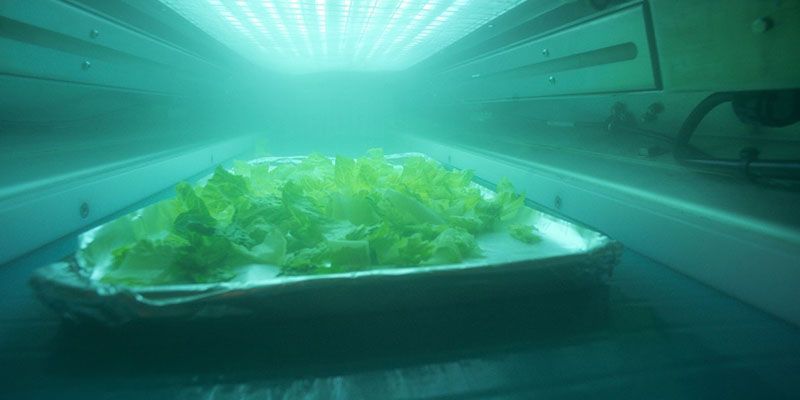 University of Guelph invention can kill pathogens in seconds