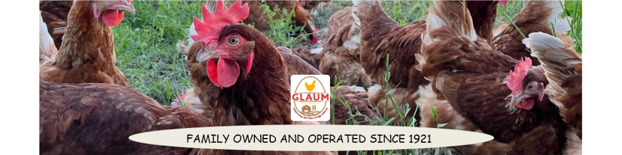 Glaum Egg Ranch